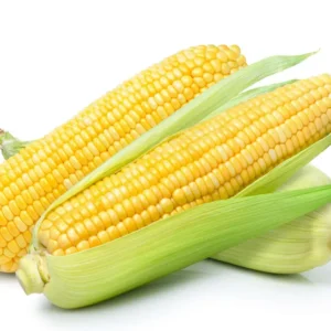 Sweet Corn